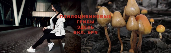 марихуана Абаза