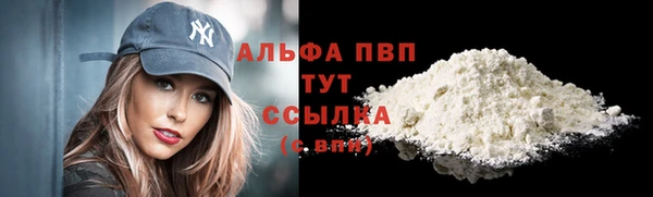 ГАЛЛЮЦИНОГЕННЫЕ ГРИБЫ Майский