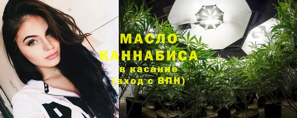 ECSTASY Богданович