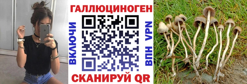 Псилоцибиновые грибы мухоморы  МЕГА ONION  Троицк  где найти наркотики 