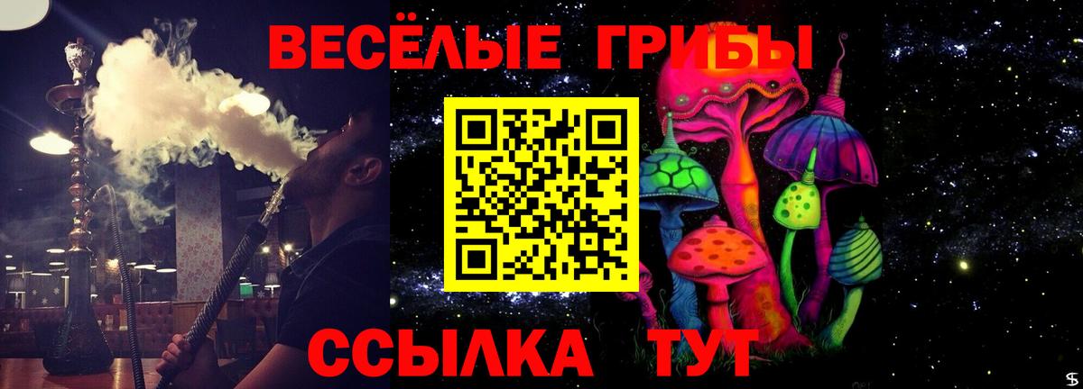 Псилоцибиновые грибы мухоморы Троицк